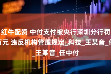 红牛配资 中付支付被央行深圳分行罚200万元 违反机构管理规定_科技_王某音_任中付