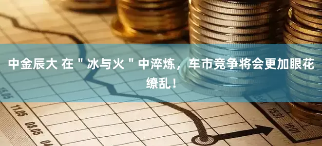 中金辰大 在"冰与火"中淬炼,车市竞争将会更加眼花缭乱!