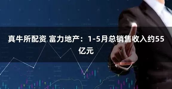 真牛所配资 富力地产：1-5月总销售收入约55亿元